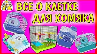 ВСЕ О КЛЕТКЕ ХОМЯКА / КАКАЯ КЛЕТКА НУЖНА ХОМЯКУ / ХОМЯК / Я Алиса Изи