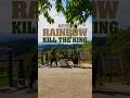 Kill the King / Rainbow