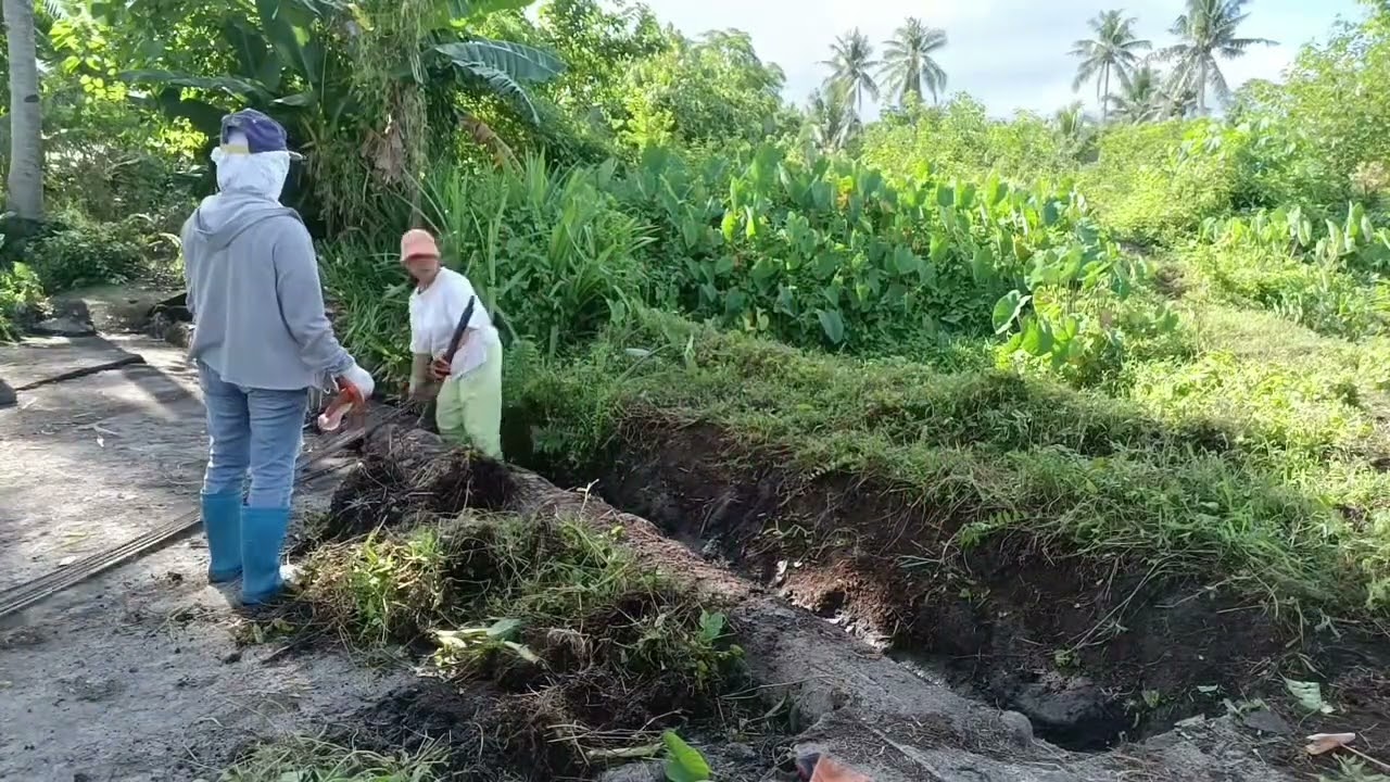 Make a small river clean and beautiful...