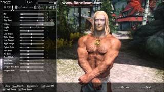 Skyrim Gray Face issue (Irrelevant)
