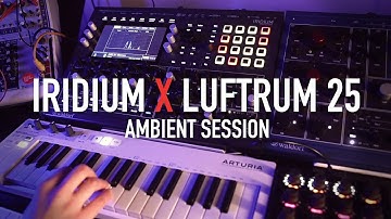 Ambient with Waldorf Iridium x Luftrum 25
