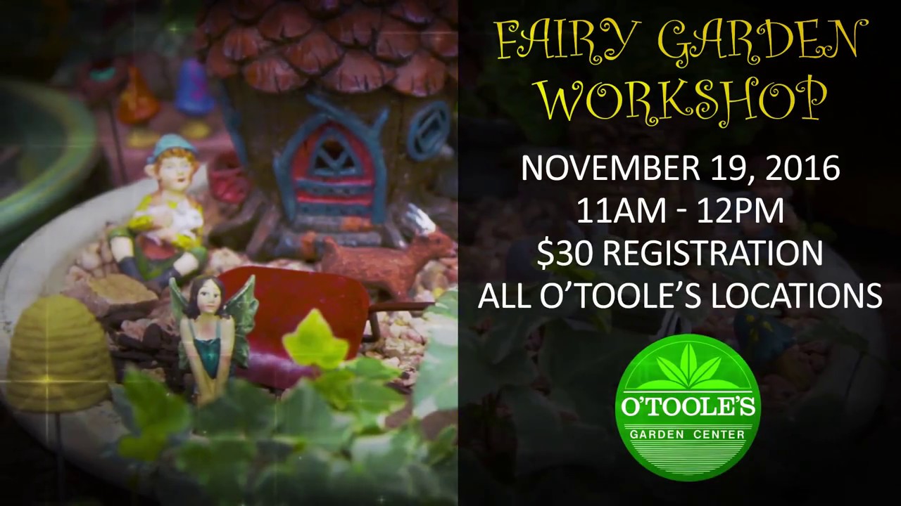 O Toole S Fairy Gardening Class 2016 Youtube