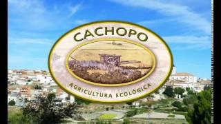 Conservas CACHOPO, agricultura ecológica certificada de producción propia y producto bio