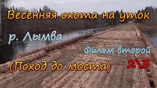 Весенняя охота на уток. Фильм второй. (Поход до моста) 2 часть. Весенняя охота на уток. Фильм второй. (Поход до моста) 2 часть.
