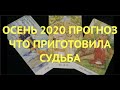 🍁 🍂ОСЕНЬ 2020 ПРОГНОЗ Главные события Что на пороге Подарки и сюрпризы/ Прогноз  Таро/Гадание Таро