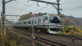 2022/11/30 E217系 総武快速線 Japan Train