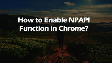 How to Enable NPAPI Function in Chrome?