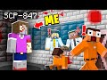 I Became SCP-847 in MINECRAFT! - Minecraft Trolling Video