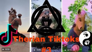 Therian Tiktoks #3