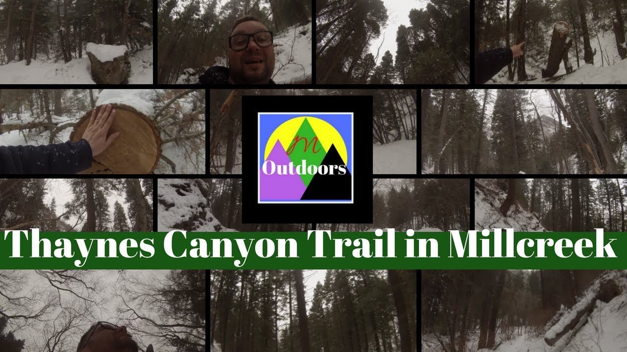 Winter Hiking Desolation & Thaynes Canyon Trail in Millcreek Canyon, Utah