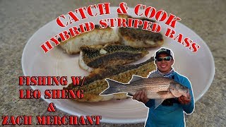 Catch and cook hybrid striped bass from Spruce Run Reservoir Clinton NJ