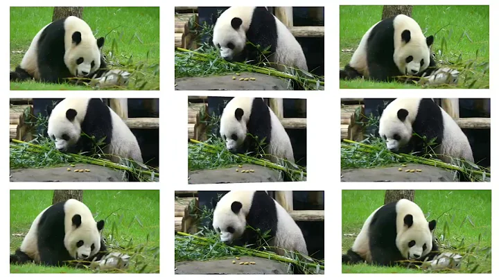 A Date With ** 🍽️ Bao Li🥕🍎🍠🎍 9/21/2025 Pt2