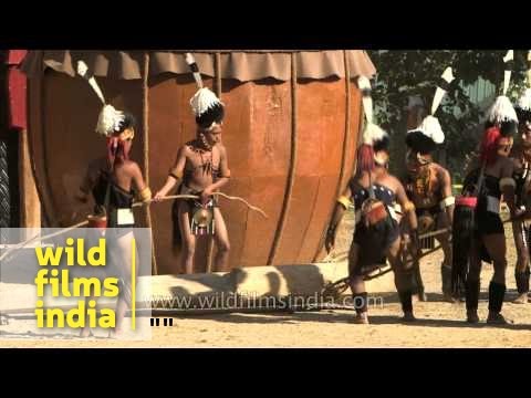 Pulling a drum made from a single log   Chang Naga tribe from India