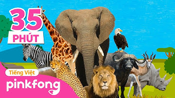 Bài hát Dộng Vật 🐘 🦒 🦓  + Tuyển tập | Cá Mập Con Baby Shark Pinkfong! - Nhạc thiếu nhi