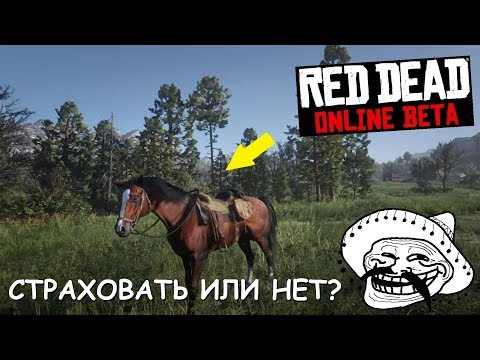 Видео: Игроки Red Dead Online находят братскую могилу мертвых лошадей