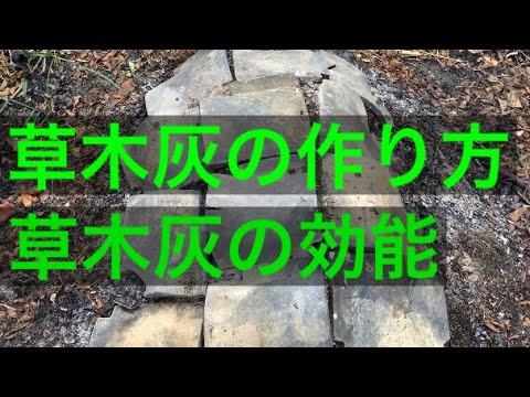 草木灰の作り方 草木灰の効能 落ち葉 鎌倉時代 ケイ酸 Youtube