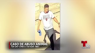 Caso de abuso animal en Pueblo