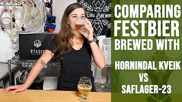 Can you mix yeast strains in beer?