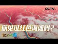 《地理·中国》 20240220 自然奥秘（一）·3|CCTV科教