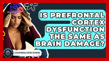 Is Prefrontal Cortex Dysfunction The Same As Brain Damage? - Schizophrenia Support Network