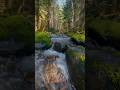 Waterfall sound Release Stress #waterfall #watersound #naturalsound