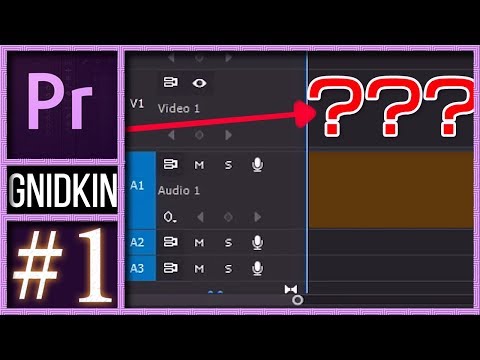 ЧТО ДЕЛАТЬ ЕСЛИ ВИДЕО НЕ ДОБАВЛЯЕТСЯ НА ТАЙМЛАЙН В ADOBE PREMIERE PRO?