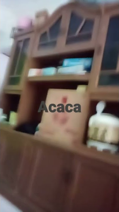 bangsat babi goblok anjing