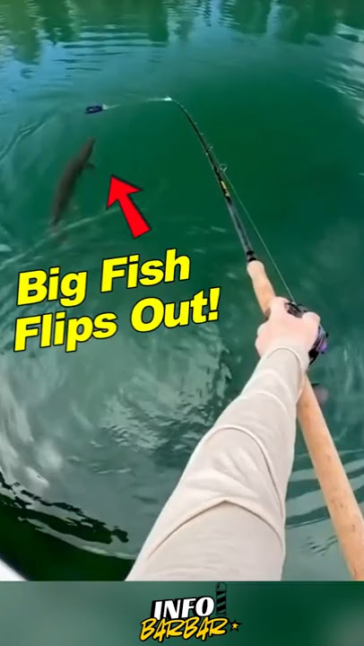 He Thought It Was Funny… Until the Fish Struck! #shortsfeed #funny