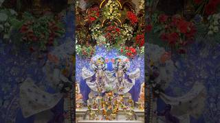 Sab shakiyon ka piyara #shyamsundar #krishnabhajan #prabhu #iskcon #bhajan