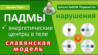 Урок №7 | Виды нарушений в энергетических центрах - падмах. Мера нашего Знания.