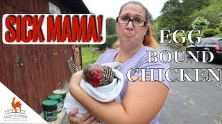 Egg Bound Treatment