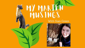 My Marten Musings: Episode Two Sian Green