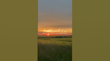 سورة الناس #explore #foryou #funny #quran #trending #اكسبلور #الله #اللهم_صل_وسلم_على_نبينا_محمد