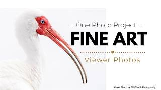 These Fine Art Photos Blew Me Away.