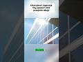 Choroba w Holandii? Agencja Cię nie zostawi! 🇳🇱 #holandia #news #zarobki