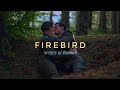 Sergey  roman firebird movie  experience