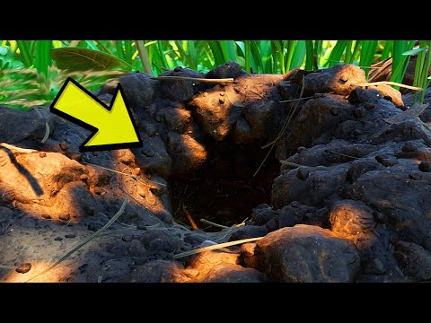 Видео: От „мравуняка“до „градинския град“