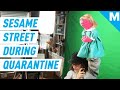 How 'Sesame Street' Stayed On The Air During Quarantine | Mashable Originals