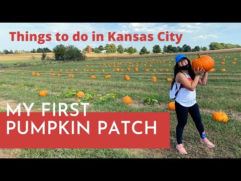 Video: Besöker Pumpkin Patches i Kansas City