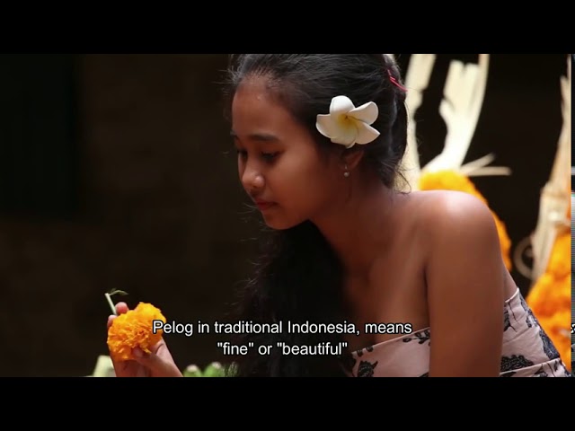NUSANTARA Music of Indonesia class=