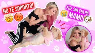 TAG DE LA MASCOTA! LA PEOR TRAVESURA DE PRINCESA!!  LA VOY A REGALAR?! | Katie Angel