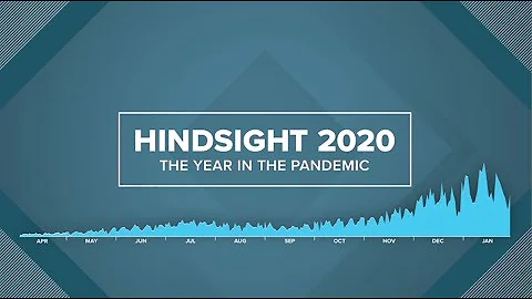 Hindsight 2020: The year in the pandemic | COVID-19 Special