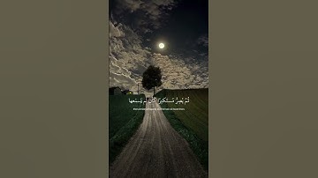 #القرآن_الكريم #القارئ #ياسر_الدوسري #بسم_الله_الرحمان_الرحيم #راحة_نفسية #🤍🥺