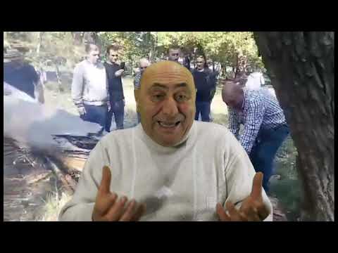 გადავარჩინოთ საღორიის ტყე