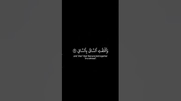 أذكر الله | سورة القيامة الأية ٢٦-٣٢ القارئ يوسف الصقير #quran #اكسبلور