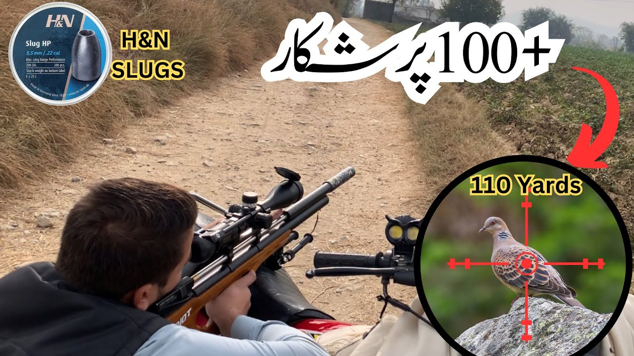 Long Rage Shot Perfect Kills 100+ Yards | Only Long Range Shots with P15 Airgun - YouTube