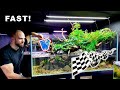 *FAST* FISH ADDED to RIVER AQUARIUM!! CRAZY SCHOOLING BEHAVIOUR || MD FISH TANKS