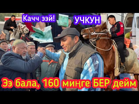 Video: Венгрия: кандуу күз 56