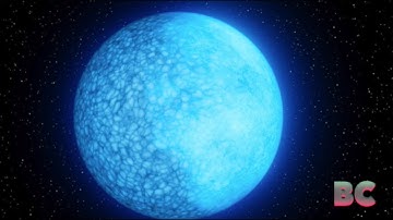 Unusual white dwarf with a hydrogen side and a helium side