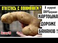 В аграрной сверхдержаве картошка ДОРОЖЕ бананов Путина всё устраивает! Опять отнестись с пониманием?